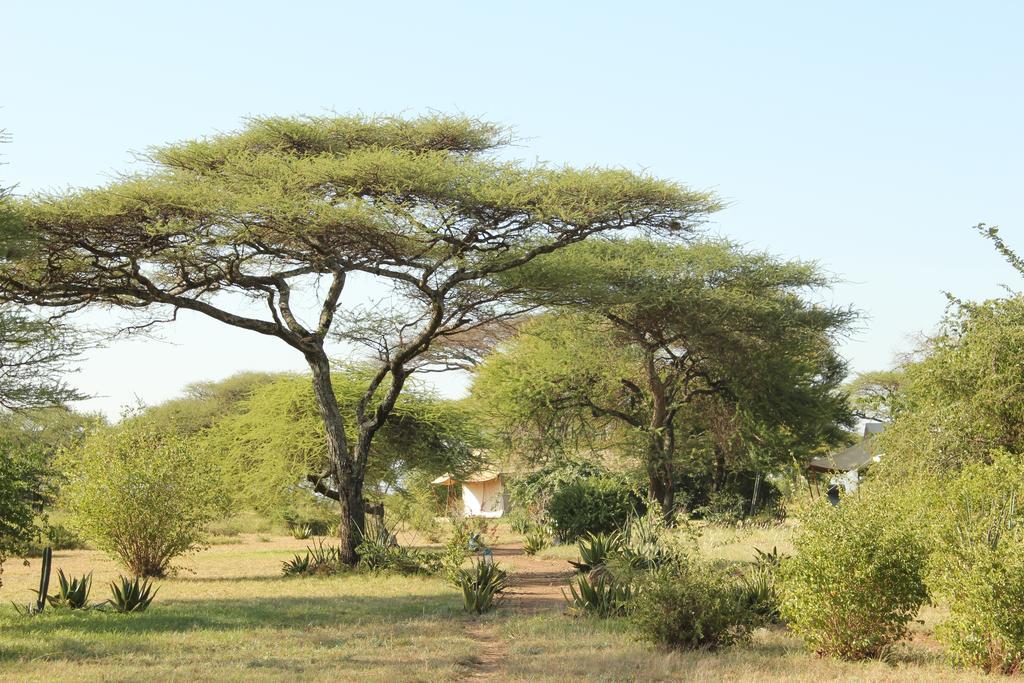 Mapito Tented Camp Serengeti-Savanne Exterior foto