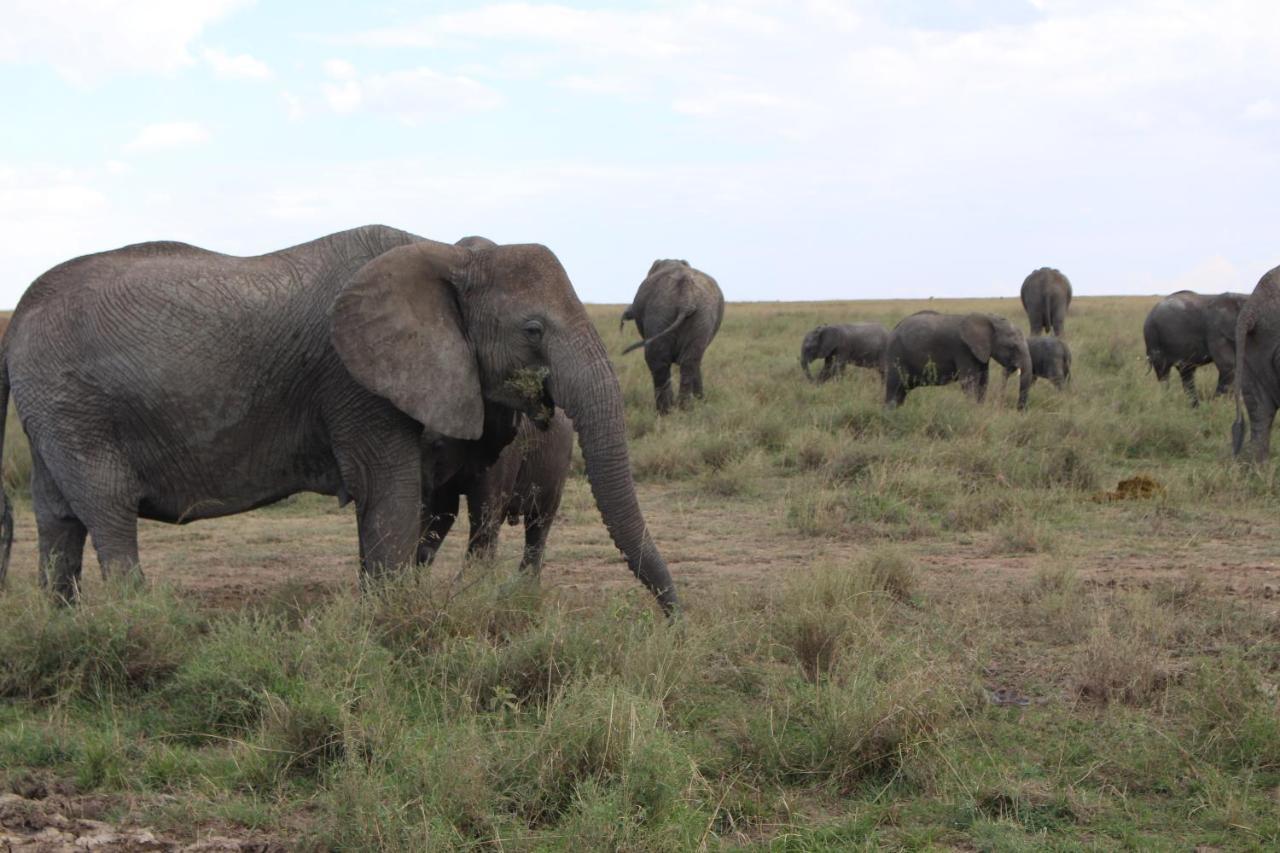 Mapito Tented Camp Serengeti-Savanne Exterior foto